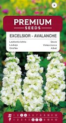 Stock Excelsior Avalanche Seeds